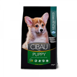 cibau-puppy-medium
