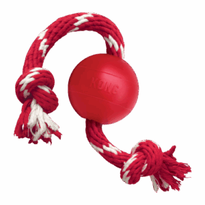JUGUETE KONG BALL WITH ROPE - Imagen 1